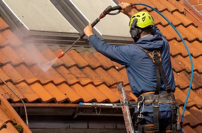 Démoussage et hydrofuge de toiture à Lannecaube